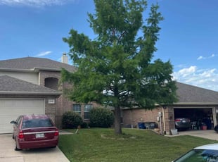 Kristopher B.'s yard maintenance service result