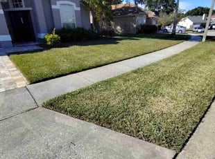 Pamela F.'s turf maintenance service result
