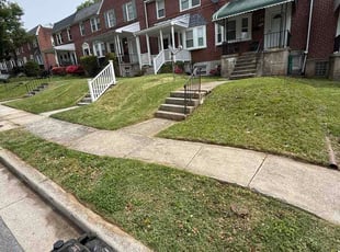 Joy T.'s turf care service result