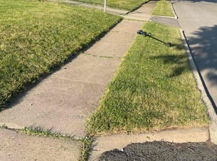 Seema T.'s lawn maintenance service result