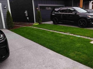 Sean W.'s lawn service service result