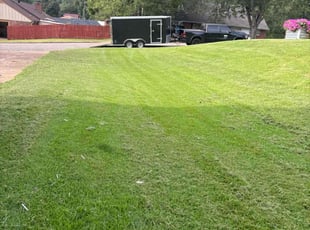 Susanne M.'s lawn maintenance service result
