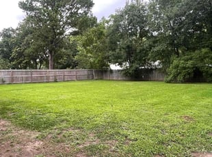 Celeste L.'s lawn care service result