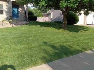 Shanaaz P.'s turf maintenance service result