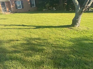 Kelli D.'s turf care service result