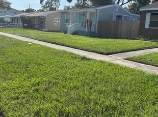 Candace B.'s grass cutting service result
