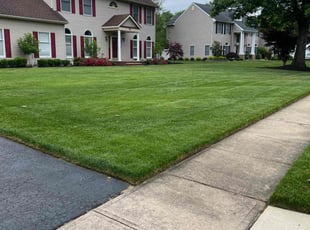 Aaron C.'s lawn service service result