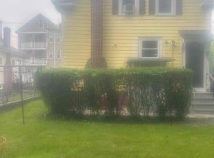 Rene R.'s Bush Trimming service result
