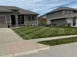 Richard R.'s grass cutting service result