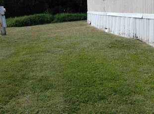 Donna N.'s lawn service service result
