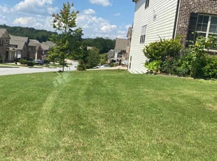 Chris E.'s lawn service service result