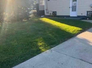 Tim C.'s lawn care services service result