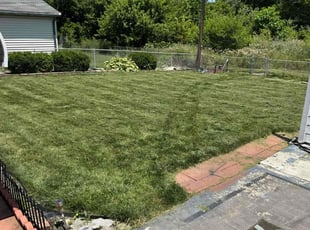 Patrick P.'s grass cutting service result