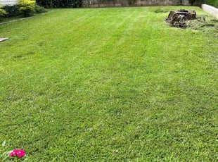 Janelle K.'s lawn maintenance service result