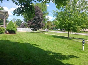 Leon S.'s grass maintenance service result