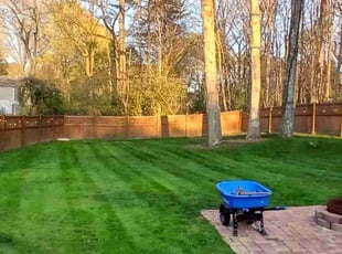 Amanda M.'s grass cutting service result
