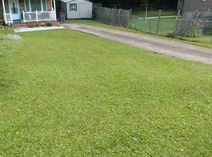 Cheryl D.'s lawn service service result