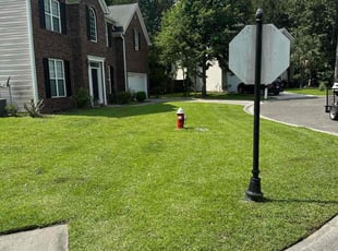 Claude T.'s grass maintenance service result