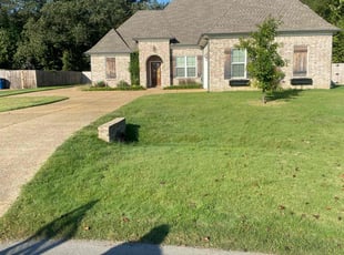 Tina B.'s turf care service result