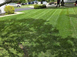 Jonteria S.'s landscaping services service result