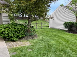 Robert A.'s lawn care service result