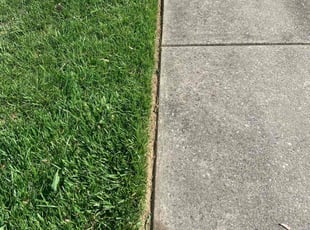 Katrina C.'s turf maintenance service result