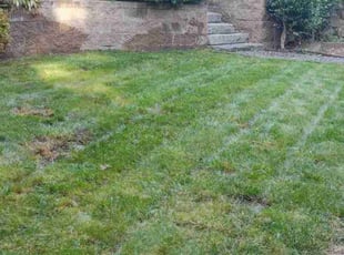 Melissa A.'s lawn service service result