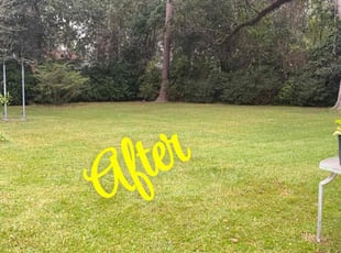 Keri A.'s gardening service service result