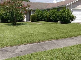 Kathy P.'s turf care service result