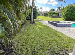 Patty Y.'s lawn maintenance service result
