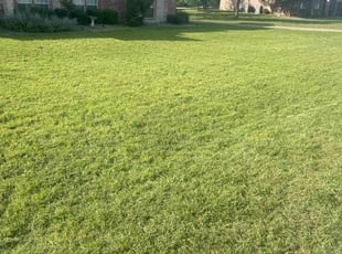 Chris D.'s gardening service service result