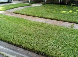 Gary G.'s lawn maintenance service result
