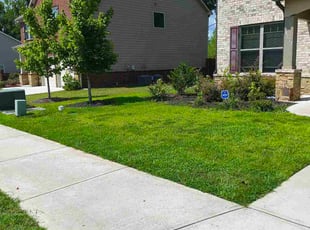 Chase E.'s lawn care service result