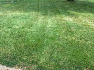 Katie G.'s lawn maintenance service result