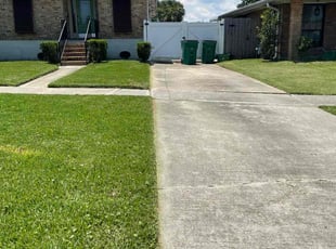 Chrystina V.'s turf care service result