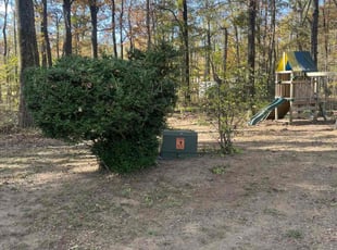 Dede E.'s Bush Trimming service result