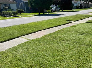Jenn B.'s lawn maintenance service result