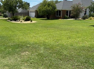 Scott T.'s lawn maintenance service result