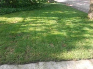 Matias J.'s lawn care services service result