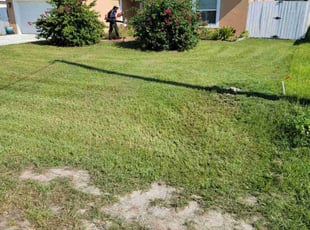 Cynthia L.'s turf maintenance service result