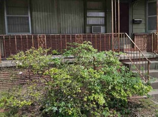 Amy M.'s Bush Trimming service result