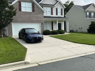 Jeff G.'s lawn care service result