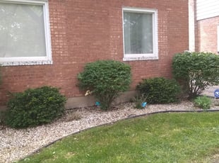 Benny N.'s Bush Trimming service result