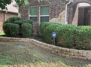 Garry H.'s Bush Trimming service result