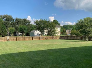 Sloan P.'s lawn care service result