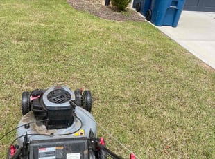 Laura L.'s grass maintenance service result