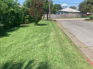 Michael G.'s lawn service service result