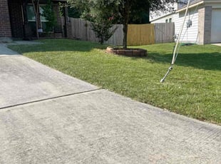 Rachel K.'s turf maintenance service result