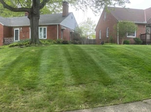 Melissa R.'s grass maintenance service result