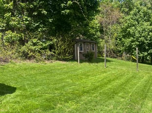 Gary G.'s turf care service result
